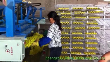 Máquina para fabricar bandejas de huevos de pulpa de papel Línea de producción de bandejas de huevos de frutas